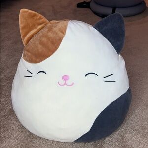 super cute and soft cat squishmallow! had this for a while but it was untouched.